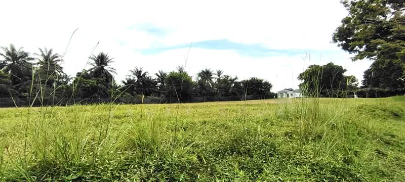 Residential Land for Sale in Leisure Farm (Gelang Patah) - Jacky Chua - Exterior - PropertyGuru.com.my