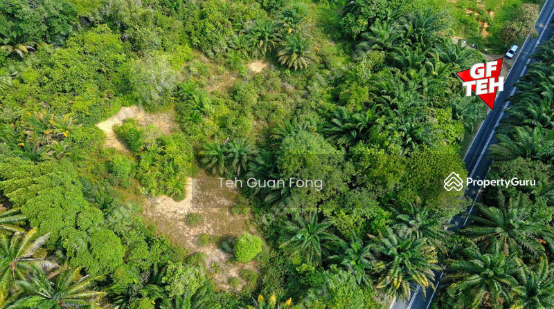 Agricultural Land for Rent in Alma (Bukit Mertajam) - Teh Guan Fong - PropertyGuru.com.my
