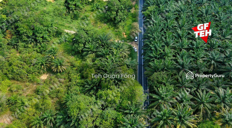 Agricultural Land for Rent in Alma (Bukit Mertajam) - Teh Guan Fong - PropertyGuru.com.my