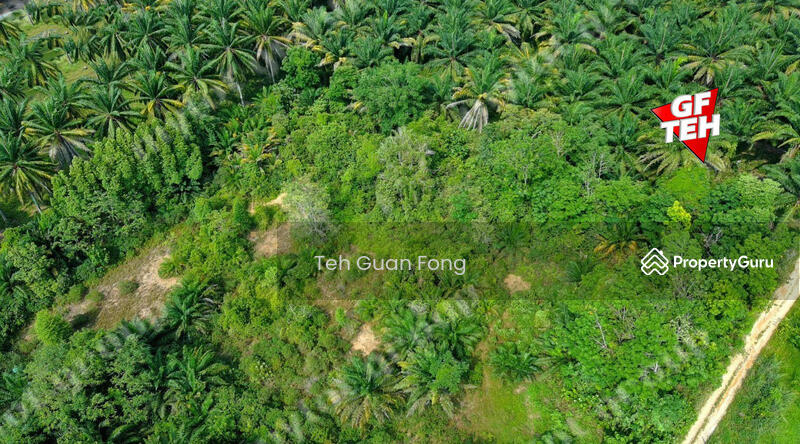 Agricultural Land for Rent in Alma (Bukit Mertajam) - Teh Guan Fong - PropertyGuru.com.my