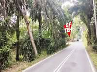 For Rent - 1 acre Roadside Agricultural Land | Jalan Gajah Mati | Bukit Mertajam / Simpang Ampat RM 0.07 psf