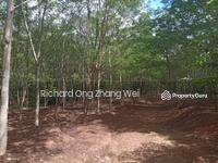 For Sale - Pahang tembelik suit for durian farm