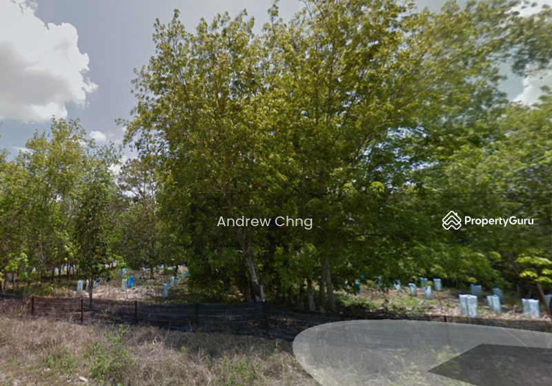 Agricultural Land for Sale in Bentong (Pahang) - Andrew Chng - PropertyGuru.com.my