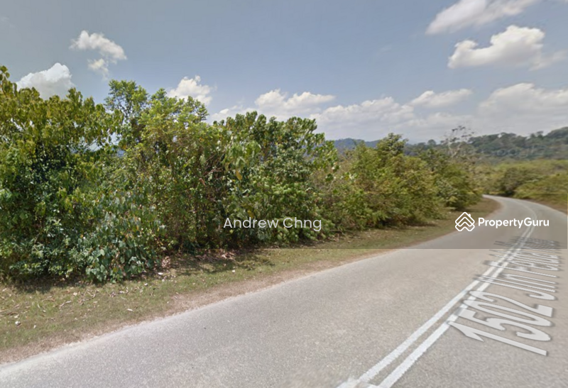 Agricultural Land for Sale in Bentong (Pahang) - Andrew Chng - PropertyGuru.com.my