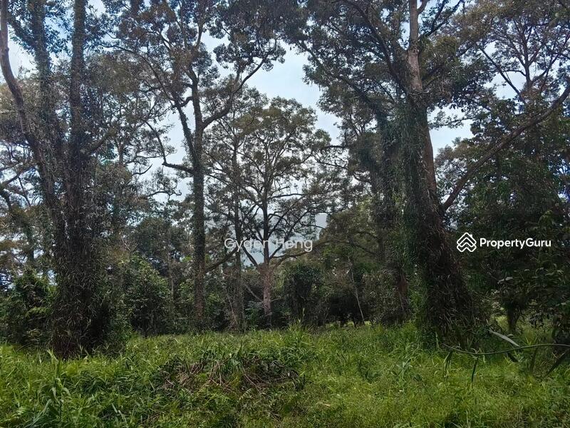 Agricultural Land for Sale in Pontian (Johor) - Gyden Heng - PropertyGuru.com.my