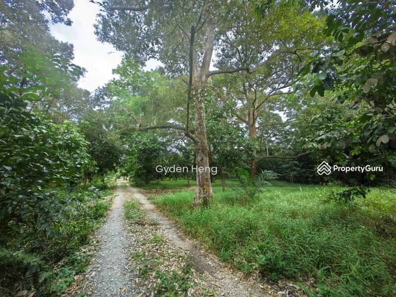 Agricultural Land for Sale in Pontian (Johor) - Gyden Heng - PropertyGuru.com.my