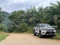 For Sale - Semenyih, Sungai Lalang, Hulu Langat Agricultural Land 38 Acres