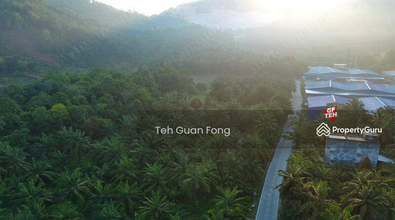 Agricultural Land for Sale in Seberang Perai (Penang) - Teh Guan Fong - PropertyGuru.com.my