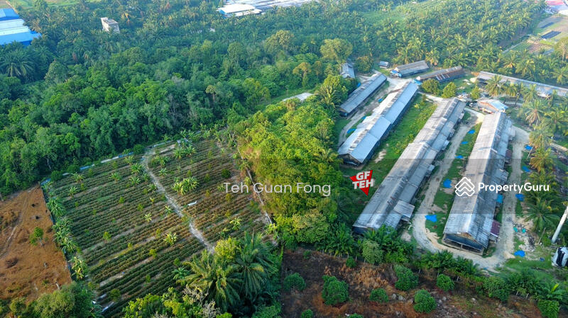 Agricultural Land for Sale in Seberang Perai (Penang) - Teh Guan Fong - PropertyGuru.com.my