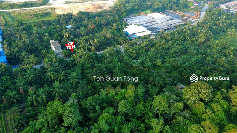 Agricultural Land for Sale in Seberang Perai (Penang) - Teh Guan Fong - PropertyGuru.com.my