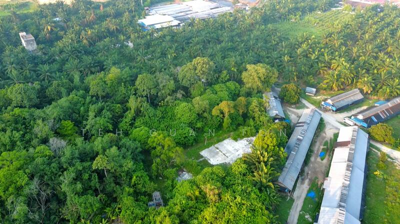 Agricultural Land for Sale in Seberang Perai (Penang) - Teh Guan Fong - PropertyGuru.com.my