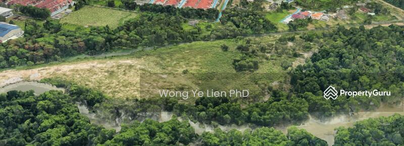 www.drwongproperty.com.my