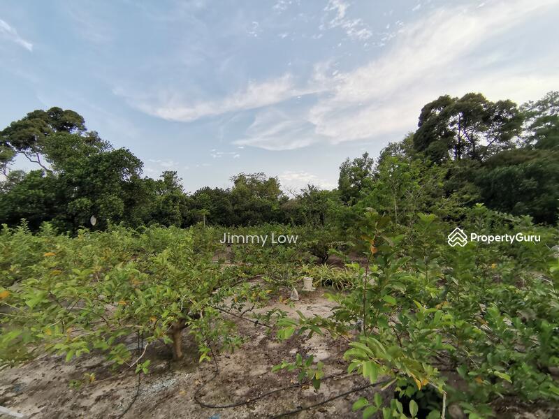 Tanah Pertanian untuk Dijual di Mantin (Negeri Sembilan) - Jimmy Low - PropertyGuru.com.my
