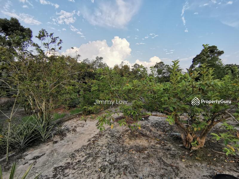Tanah Pertanian untuk Dijual di Mantin (Negeri Sembilan) - Jimmy Low - PropertyGuru.com.my