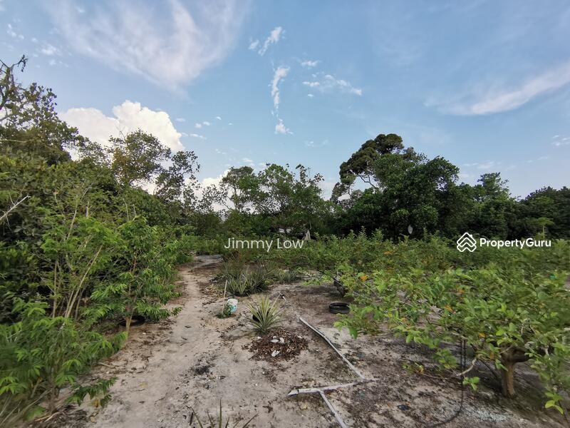 Tanah Pertanian untuk Dijual di Mantin (Negeri Sembilan) - Jimmy Low - PropertyGuru.com.my