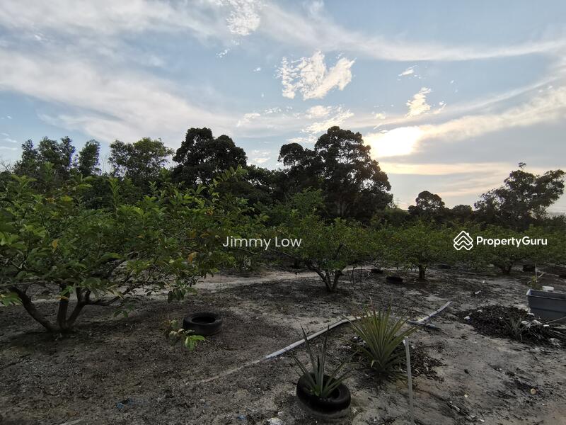 Tanah Pertanian untuk Dijual di Mantin (Negeri Sembilan) - Jimmy Low - PropertyGuru.com.my