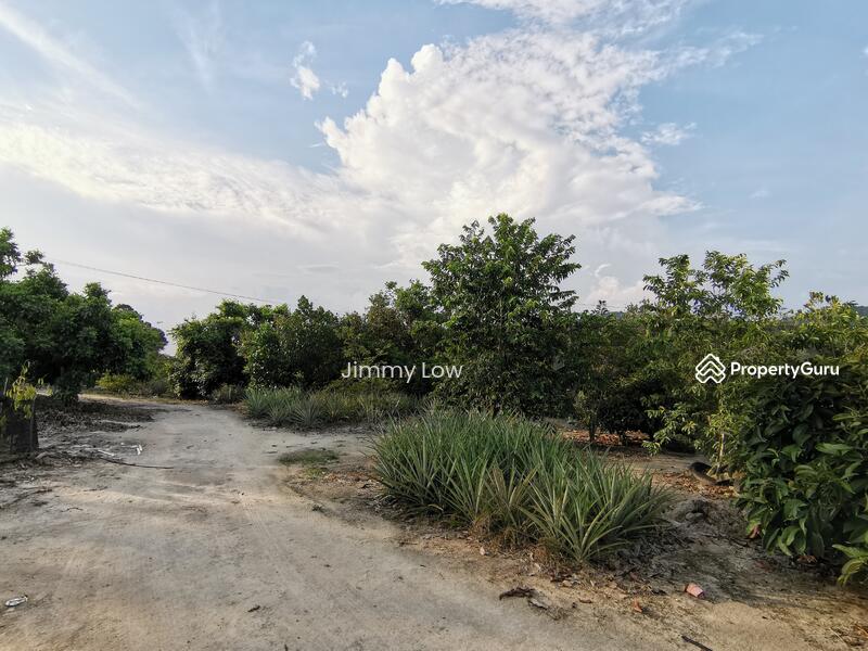 Tanah Pertanian untuk Dijual di Mantin (Negeri Sembilan) - Jimmy Low - PropertyGuru.com.my