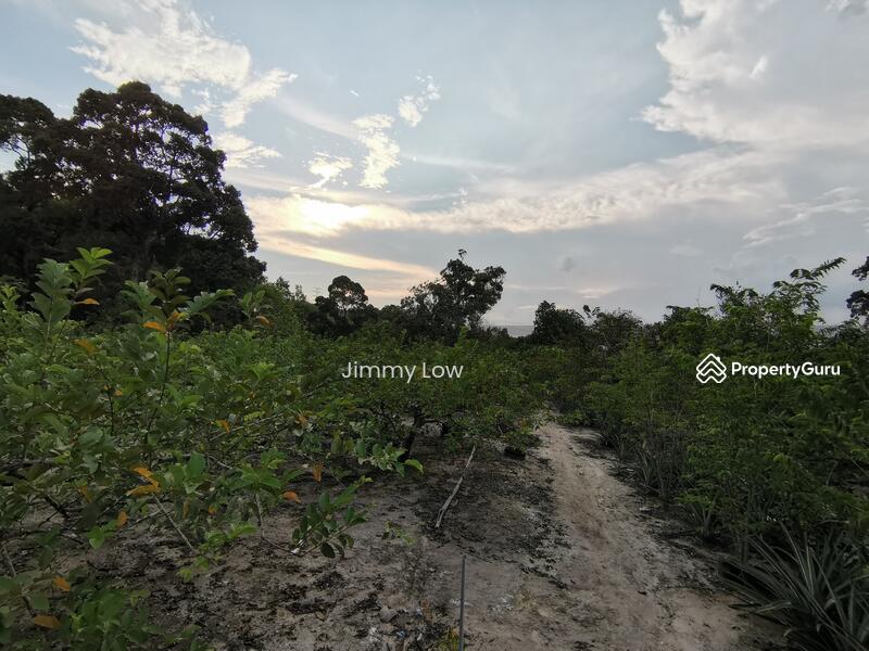 Tanah Pertanian untuk Dijual di Mantin (Negeri Sembilan) - Jimmy Low - PropertyGuru.com.my