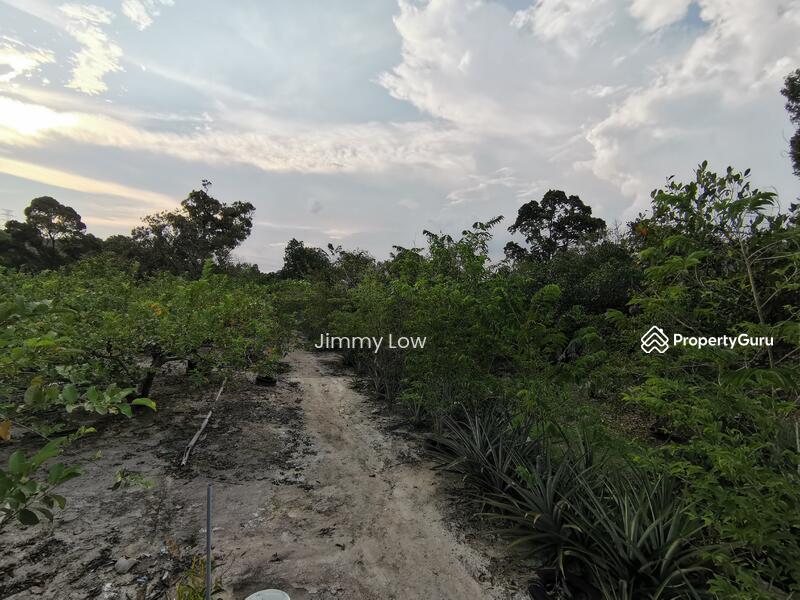 Tanah Pertanian untuk Dijual di Mantin (Negeri Sembilan) - Jimmy Low - PropertyGuru.com.my