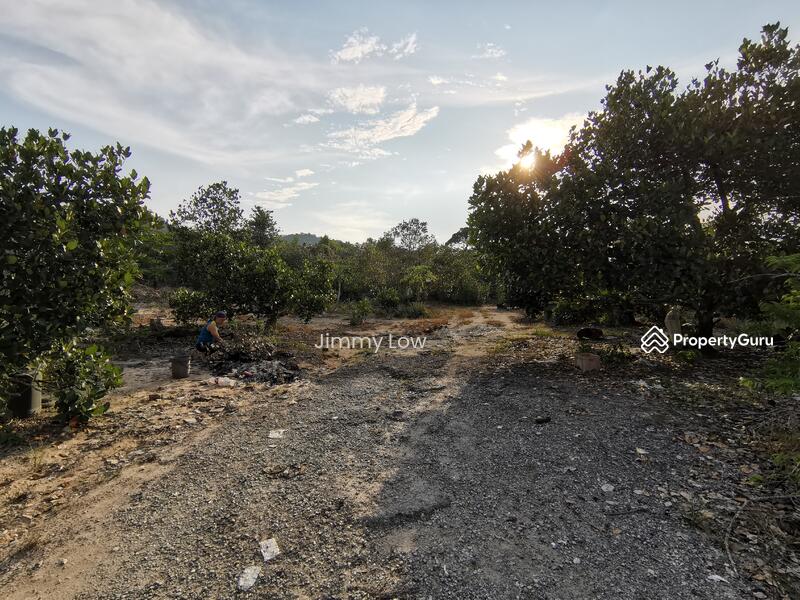 Tanah Pertanian untuk Dijual di Mantin (Negeri Sembilan) - Jimmy Low - PropertyGuru.com.my
