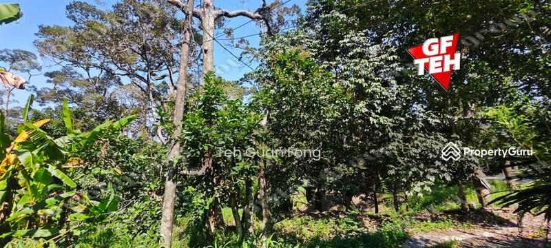 Agricultural Land for Sale in Balik Pulau (Penang) - Teh Guan Fong - PropertyGuru.com.my