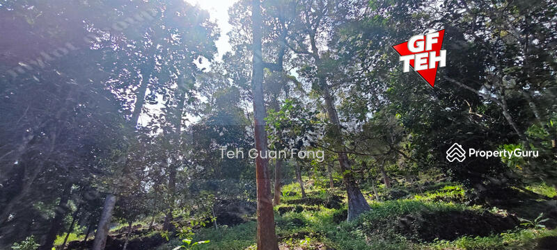 Agricultural Land for Sale in Balik Pulau (Penang) - Teh Guan Fong - PropertyGuru.com.my