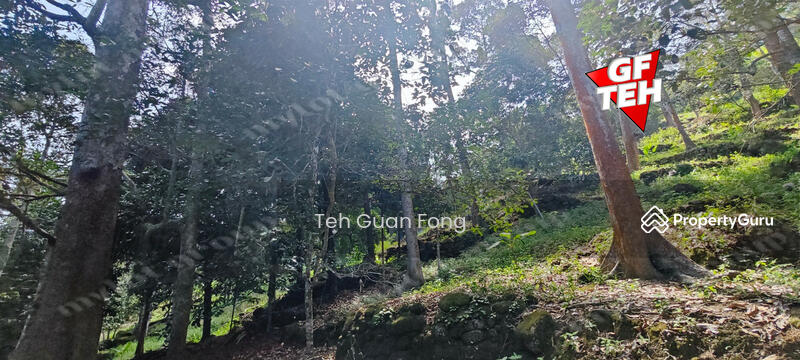 Agricultural Land for Sale in Balik Pulau (Penang) - Teh Guan Fong - PropertyGuru.com.my