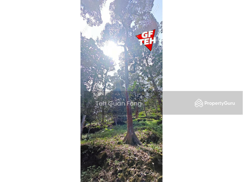 Agricultural Land for Sale in Balik Pulau (Penang) - Teh Guan Fong - PropertyGuru.com.my