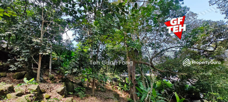 Agricultural Land for Sale in Balik Pulau (Penang) - Teh Guan Fong - PropertyGuru.com.my