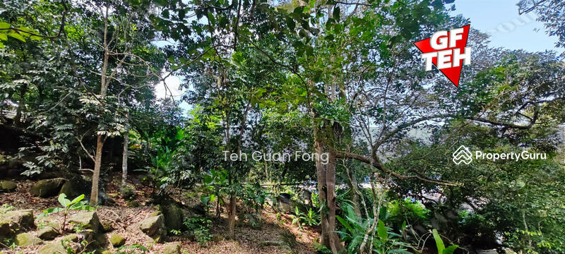 Agricultural Land for Sale in Balik Pulau (Penang) - Teh Guan Fong - PropertyGuru.com.my