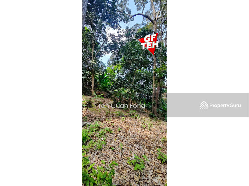 Agricultural Land for Sale in Balik Pulau (Penang) - Teh Guan Fong - PropertyGuru.com.my