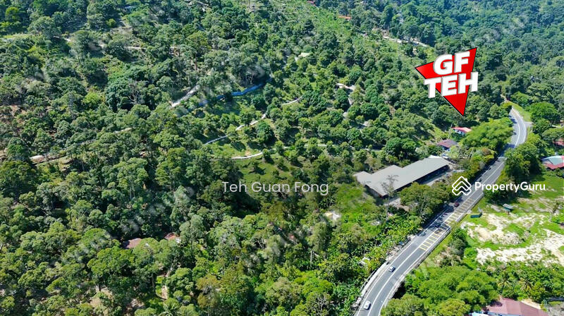 Agricultural Land for Sale in Balik Pulau (Penang) - Teh Guan Fong - PropertyGuru.com.my