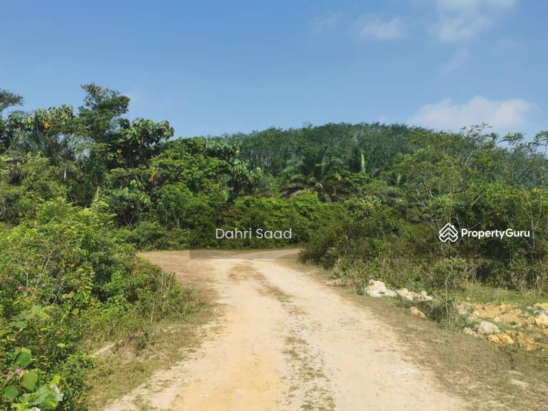 Tanah Lot Pertanian Terap Kulim, Kulim, Kedah, , , Agricultural Land