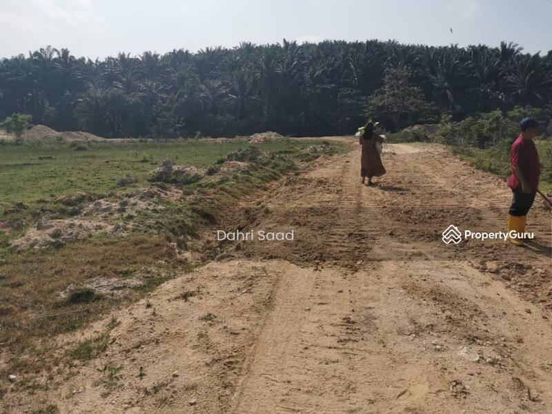 Tanah Lot Pertanian Terap Kulim, Kulim, Kedah, , , Agricultural Land