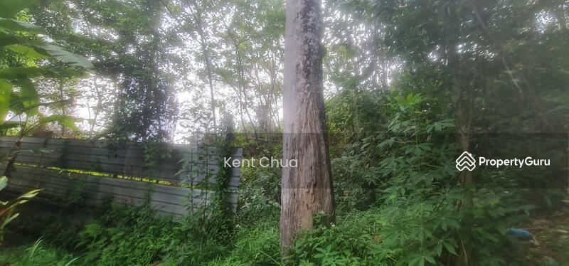 Agricultural Land for Sale in Selayang (Selangor) - Kent Chua - PropertyGuru.com.my