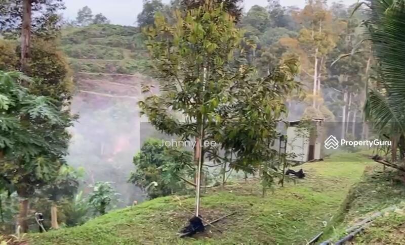 For Sale - Bentong