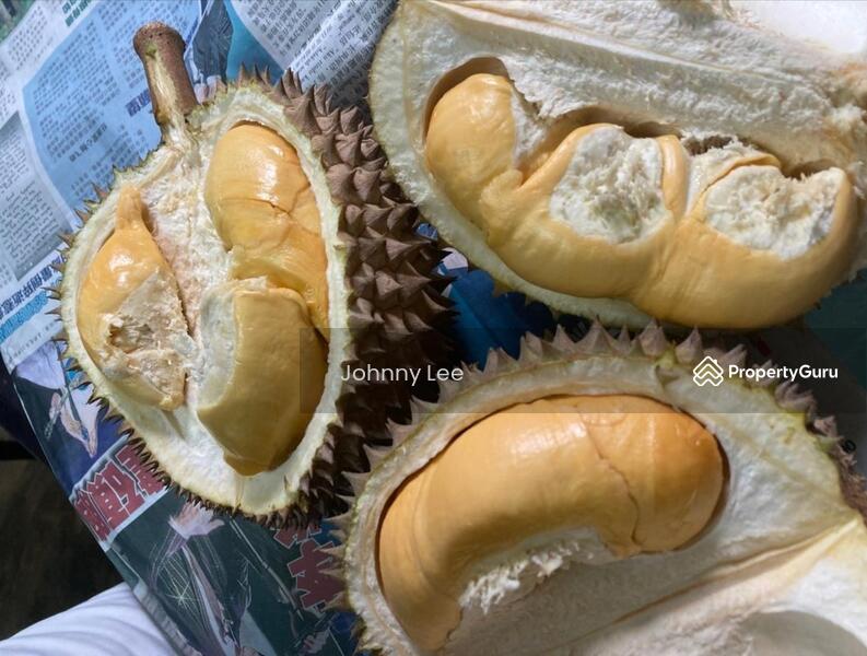 For Sale - Bentong