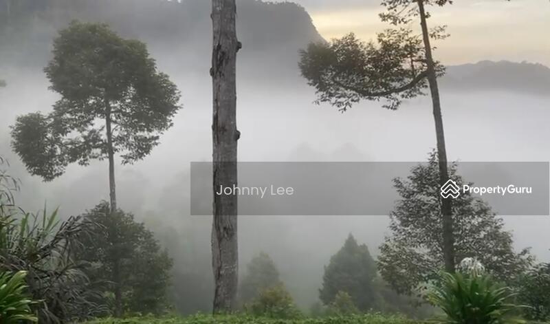 For Sale - Bentong