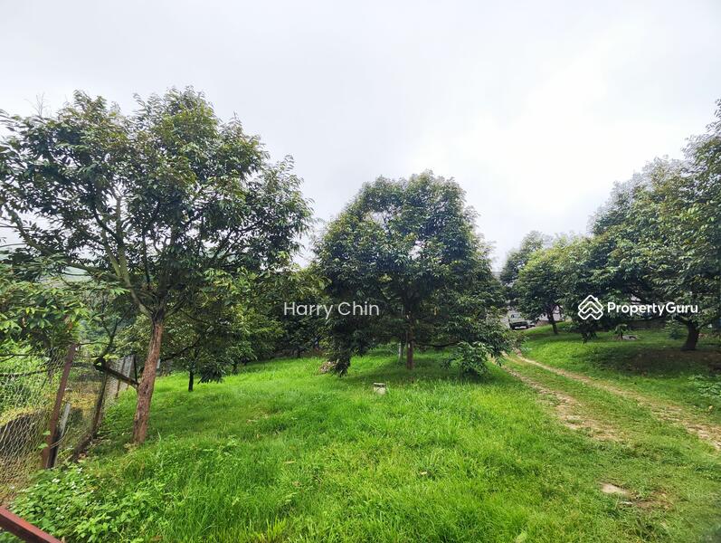 Tanah Pertanian untuk Dijual di Raub (Pahang) - Harry Chin - PropertyGuru.com.my