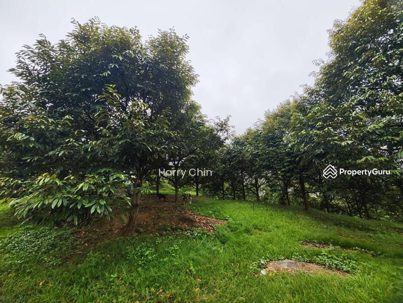 Tanah Pertanian untuk Dijual di Raub (Pahang) - Harry Chin - PropertyGuru.com.my
