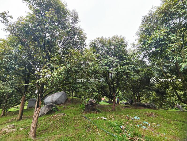 Tanah Pertanian untuk Dijual di Raub (Pahang) - Harry Chin - PropertyGuru.com.my