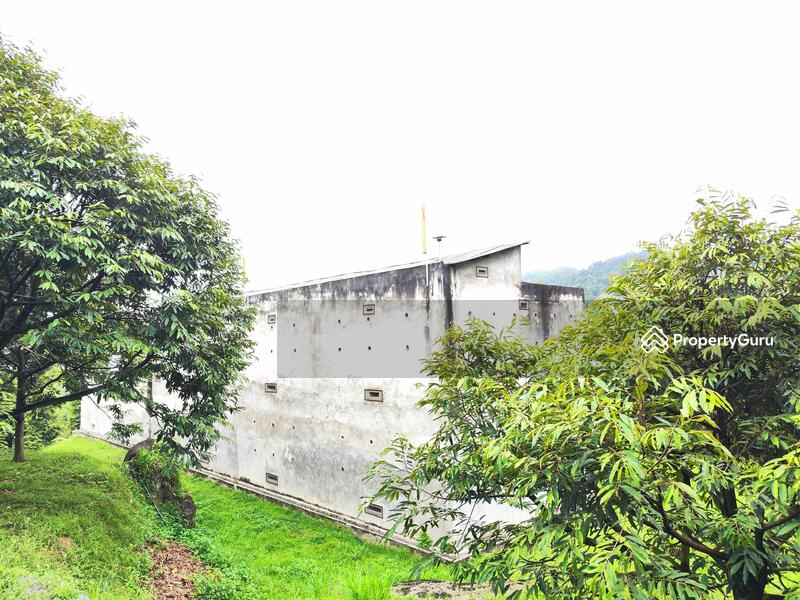 Tanah Pertanian untuk Dijual di Raub (Pahang) - Harry Chin - PropertyGuru.com.my