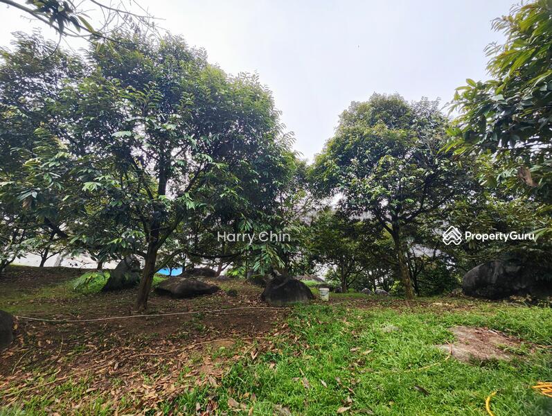 Tanah Pertanian untuk Dijual di Raub (Pahang) - Harry Chin - PropertyGuru.com.my