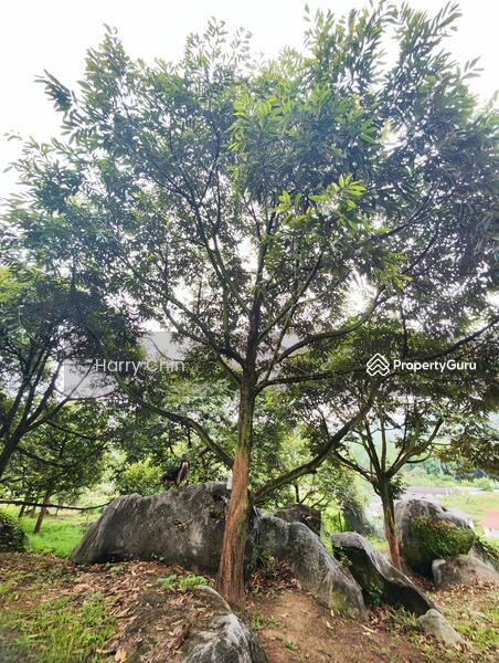Tanah Pertanian untuk Dijual di Raub (Pahang) - Harry Chin - PropertyGuru.com.my