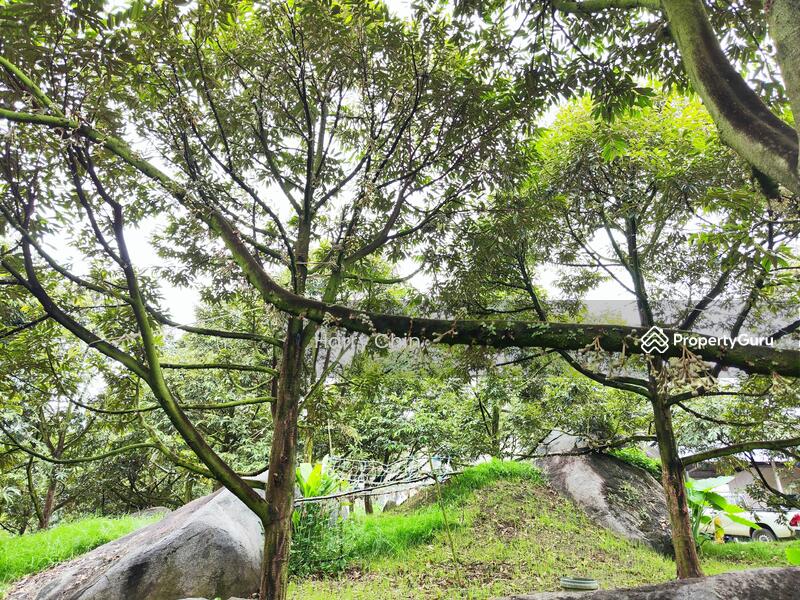 Tanah Pertanian untuk Dijual di Raub (Pahang) - Harry Chin - PropertyGuru.com.my