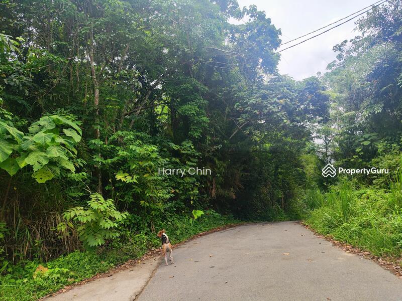 Tanah Pertanian untuk Dijual di Raub (Pahang) - Harry Chin - PropertyGuru.com.my