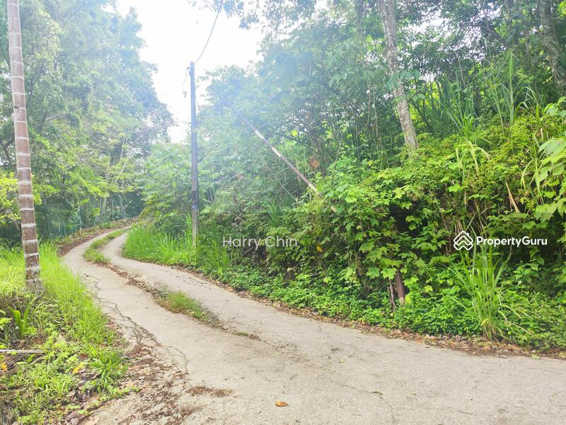 Tanah Pertanian untuk Dijual di Raub (Pahang) - Harry Chin - PropertyGuru.com.my