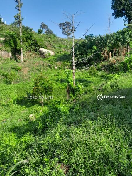 Residential Land for Sale in Teluk Kumbar (Penang) - Nickolas Lim - PropertyGuru.com.my