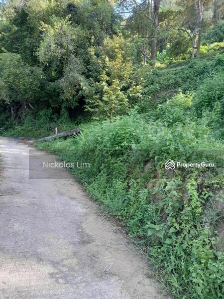Residential Land for Sale in Teluk Kumbar (Penang) - Nickolas Lim - PropertyGuru.com.my