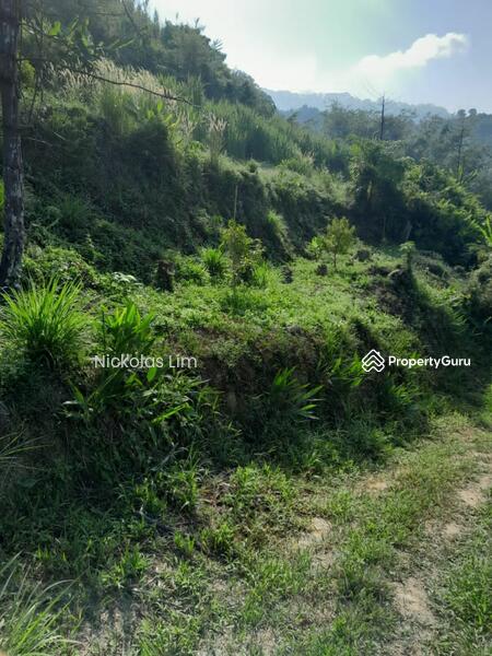 Residential Land for Sale in Teluk Kumbar (Penang) - Nickolas Lim - PropertyGuru.com.my